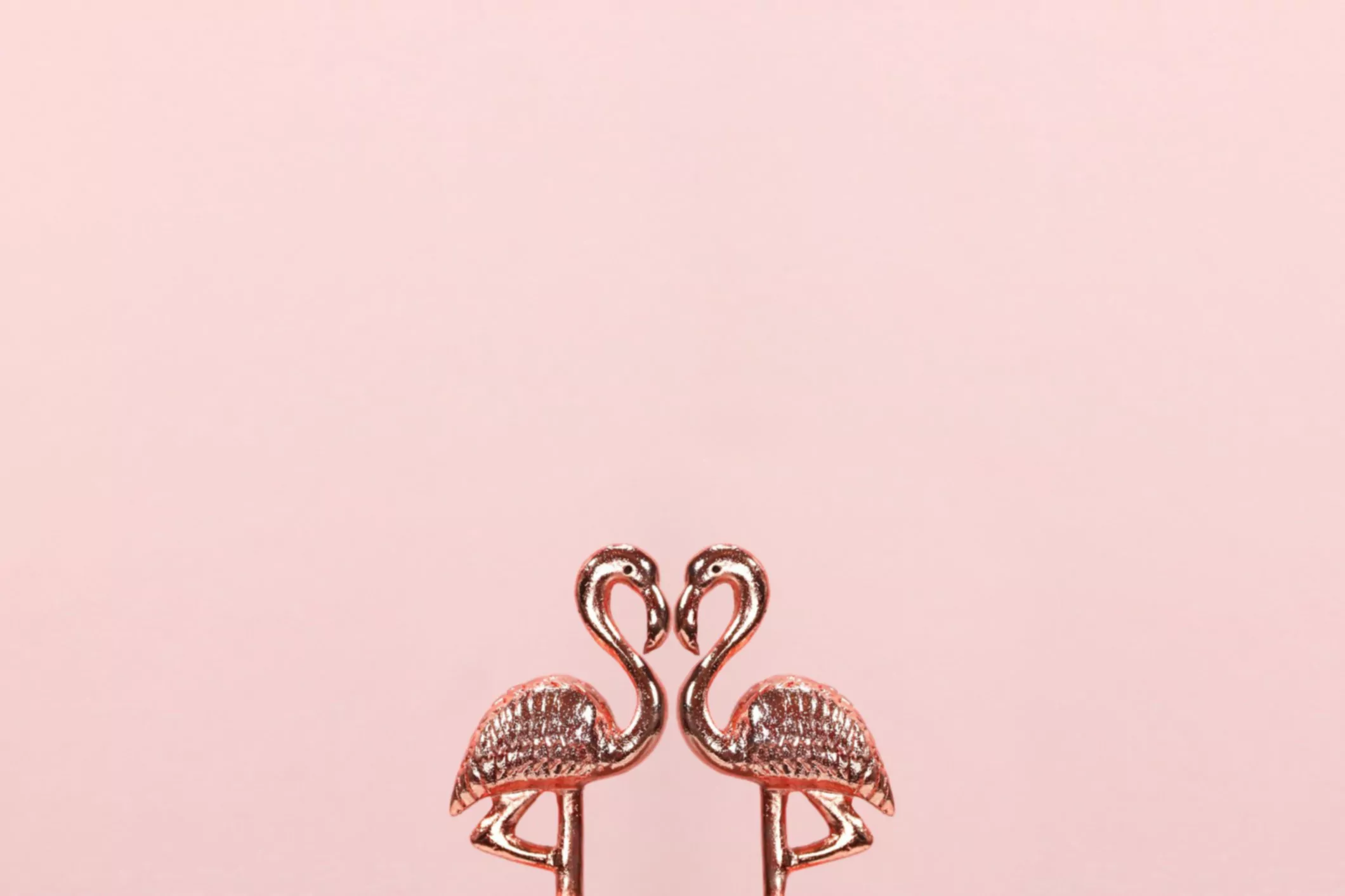 flamingos de ouro rosa adoram forma de coração