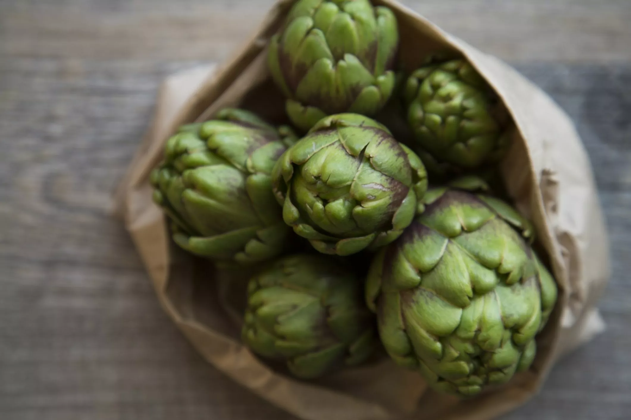 artichoke bayi